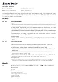 Top resume examples 225+ samples download free marketing resume examples now make a perfect resume in just 5 min. Marketing Resume Sample Examples And 25 Writing Tips