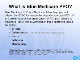 Blue Medicare Ppo Physician Other Professional Provider