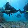 Godive mykonos scuba diving resort prices from www.realadventures.com