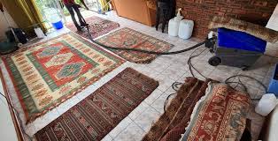 carpet cleaning stain removal safe