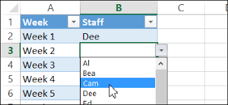 excel drop down lists data validation