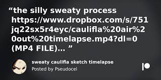 sweaty caulifla sketch timelapse | Patreon