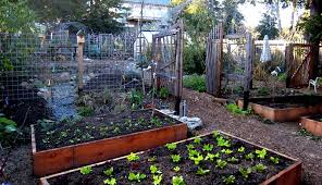 5 steps to creating permaculture design
