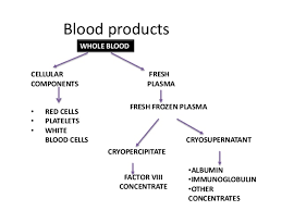 Blood Blood Product Blood Transfusion