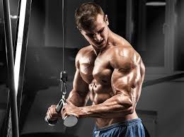 triceps exercises