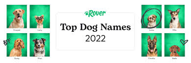 top 100 most por dog names in 2022