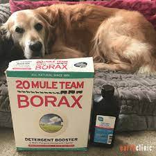 borax peroxide mange treatment for dogs