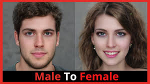 male to female transition timeline in 2