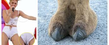Camel Toe (Cameltoe): Meaning and 5 Ways to Prevent Camel Toe