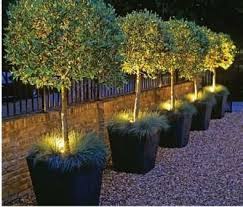 garden lighting design outdoor gardens