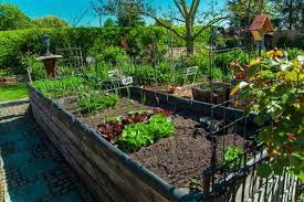 Square Foot Gardening Mistakes