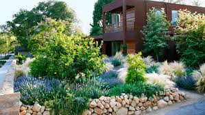 Designing With Drought Resistant Plants
