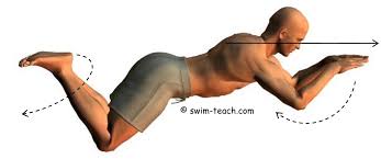 basic swimming strokes made simple for
