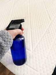how to make homemade bed bug spray