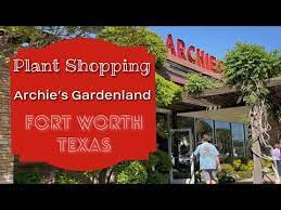 Plant Ping At Archie S Gardenland