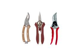 the 12 best secateurs to for 2023