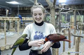 People interact with parrots at Parrot Academy in Warsaw, Poland - Global Times