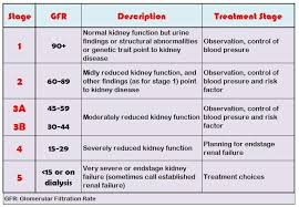 Stages Of Renal Failure Chronic Kidney Disease Kidney