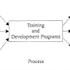 Human resource training and development