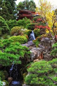 the anese tea garden in golden gate