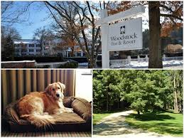 new england dog friendly vacations
