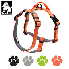Us 16 9 36 Off Truelove Pet Harness Adjustable Reflective Nylon With Collar Leash Led Light Neoprene Padded Hiking Running Tlh6171 Dropshipping In