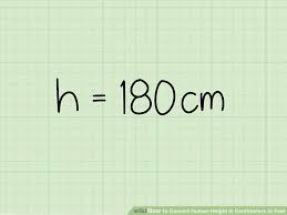 How To Convert Human Height In Centimeters To Feet With