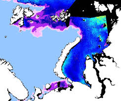 Sea Ice Thickness Chart Over The Barents And Kara Seas On 12