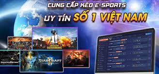 Betway Bbin Thể Thao