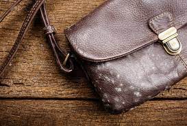 how to remove mold from your leather bag