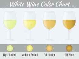White Wine Color Chart Hand Drawn Wine Glasses