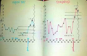 Tempdrop Charting Bbt Sleepingtemperature Fertility