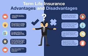 Term life insurance proceeds can be used to replace lost potential let's fist start with what are the benefits of deadly weapons like a gun and learn how to think about life insurance. Term Life Insurance Advantages And Disadvantages Effortless Insurance