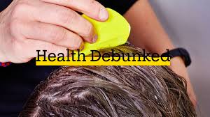 do lice prefer clean hair health