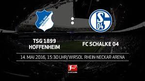 Hoffenheim kann froh sein, dass sie in der. Bundesliga Vorschau 1899 Hoffenheim Fc Schalke 04 34 Spieltag