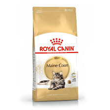 royal canin maine pet feed rh