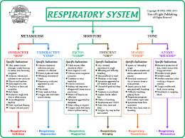 Biological Terrain Chart For The Respiratory System