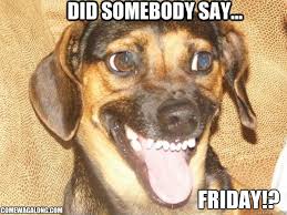 Here's an awesome happy friday meme collection for you. Community Post Thank God It S Friday Dog Edition Friday Dog Funny Baby Quotes Funny Quotes For Kids