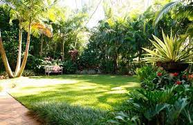 Coorparoo Tropical Landscape Design