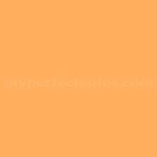 Pantone 14 1051 Tpx Warm Apricot