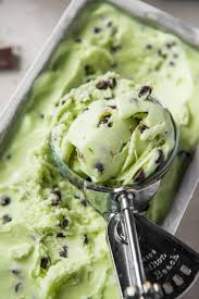 I used to own an ice cream maker, but it took up too much space. Low Fat Mint Chocolate Chip Ice Cream