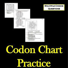 Codon Chart Practice Transcription Translation Teaching
