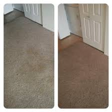 carpet cleaner resultscitrusolution