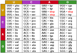 Protein Biochemistry