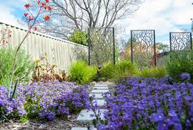 Australian Native Plants For Garden