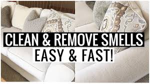 clean couch and remove odors dog