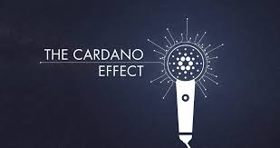 Yes … is it going to take over substantial parts of the world economy? The Cardano Effect Community Facebook