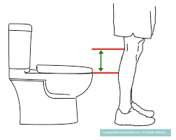 How To Measure For A Raised Toilet Seat