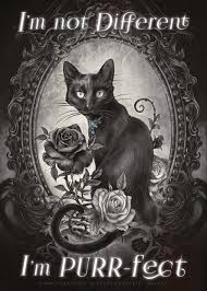 Black Cat Sign Archives Metal Wall Signs