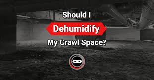 Should I Dehumidify My Crawl Space